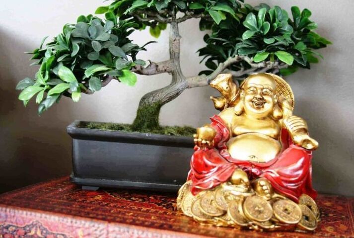 Gléck a Wuelstand am Haus laut Feng Shui