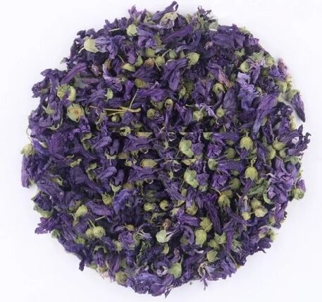 Getrocknene violett Blummen